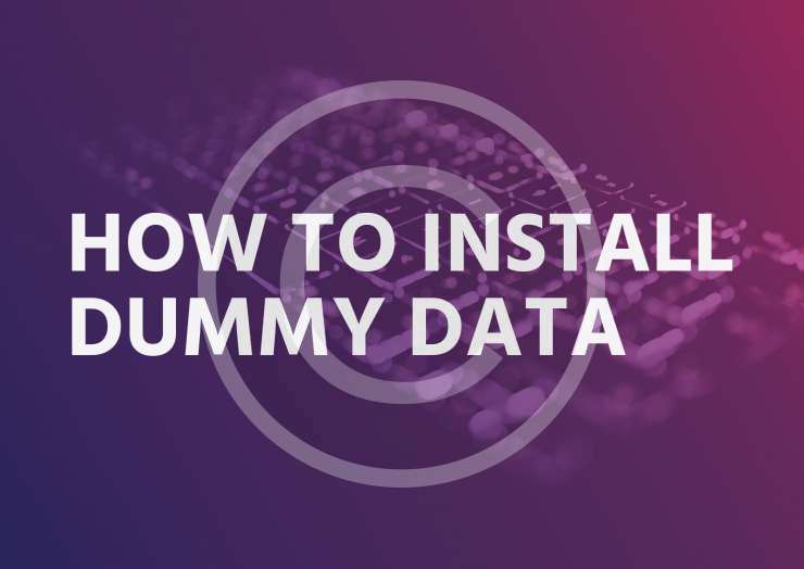 How to install dummy data